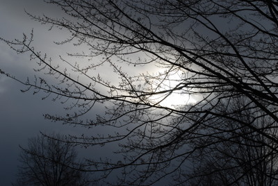 Photo taken with new D60