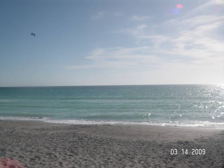 PICT0616a
