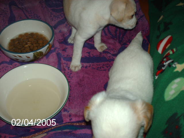 PICT145311