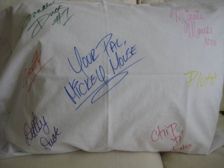 pillow2