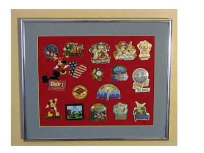 Pin Display