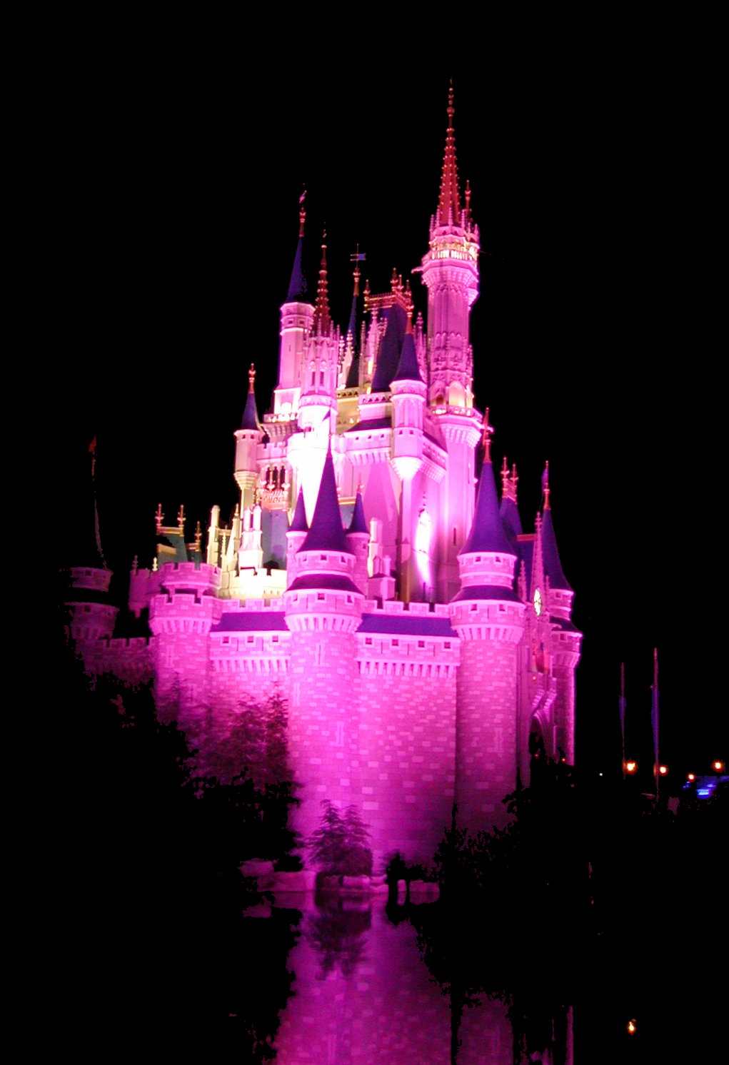 Pink Castle