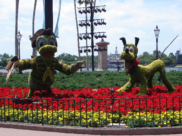 Pirate Donald & Pluto topiary