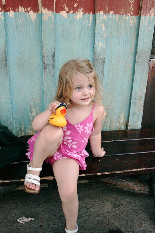 Pirate Duckey