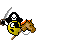 pirate