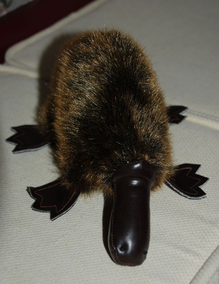 platypus