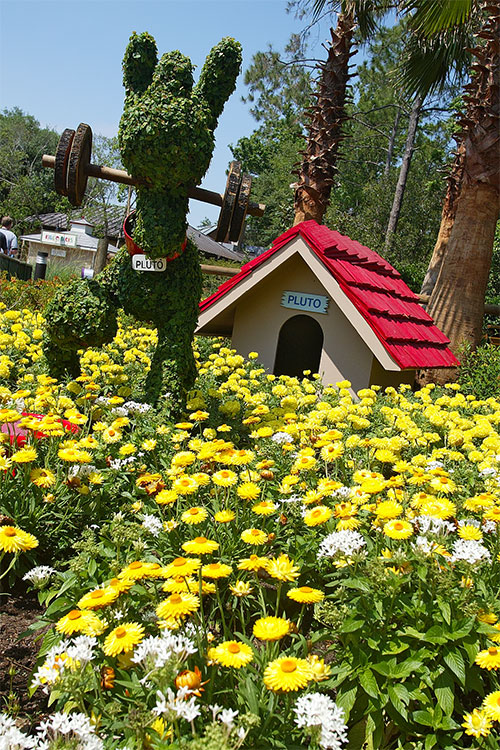 Pluto topiary