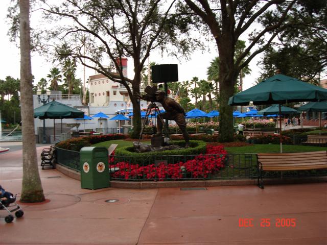 Poinsettias
