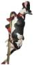 Pole Cow