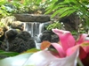 Poly Lobby Waterfall