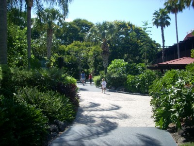 Poly Path from TTC