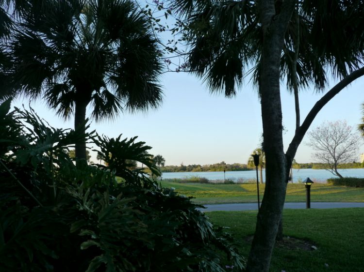 Poly pic