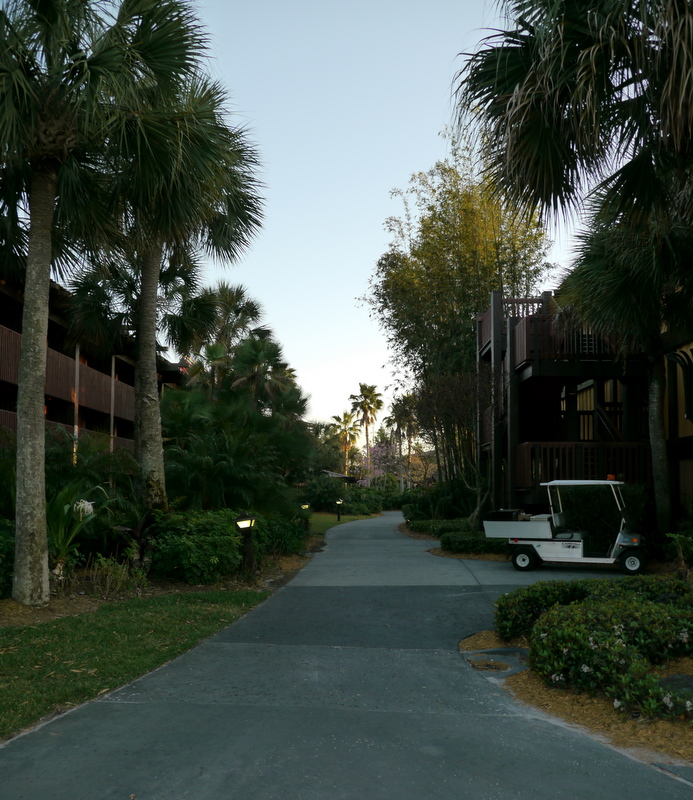 Poly Pic