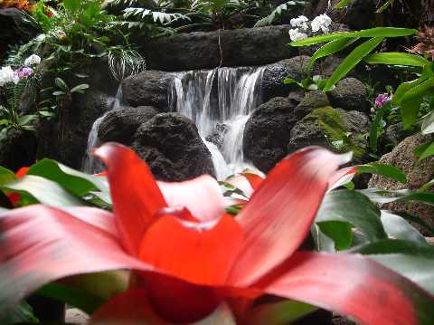 Poly Waterfall 2008