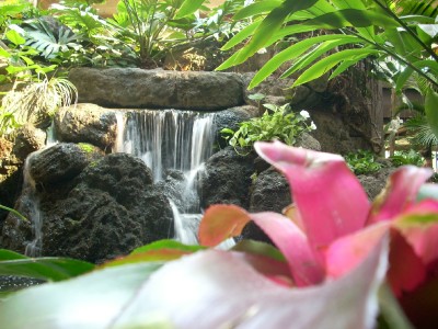 Poly Waterfall