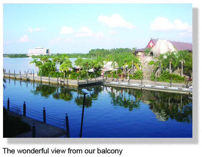 poly_view