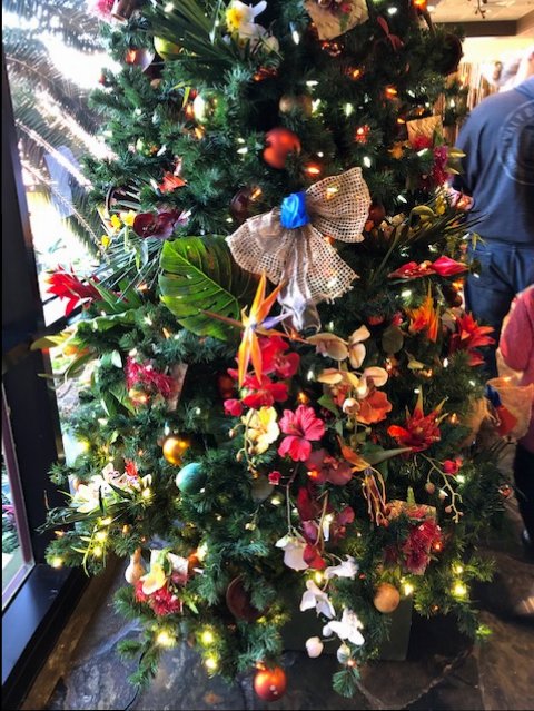 Polynesian 1_Disney 2018