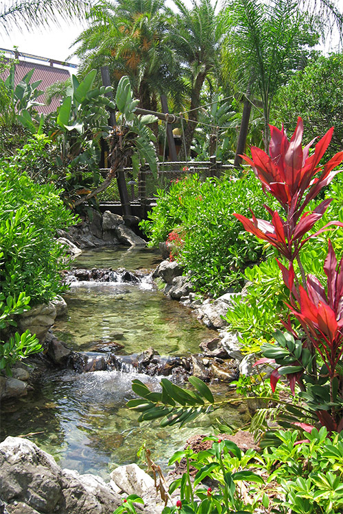 Polynesian river