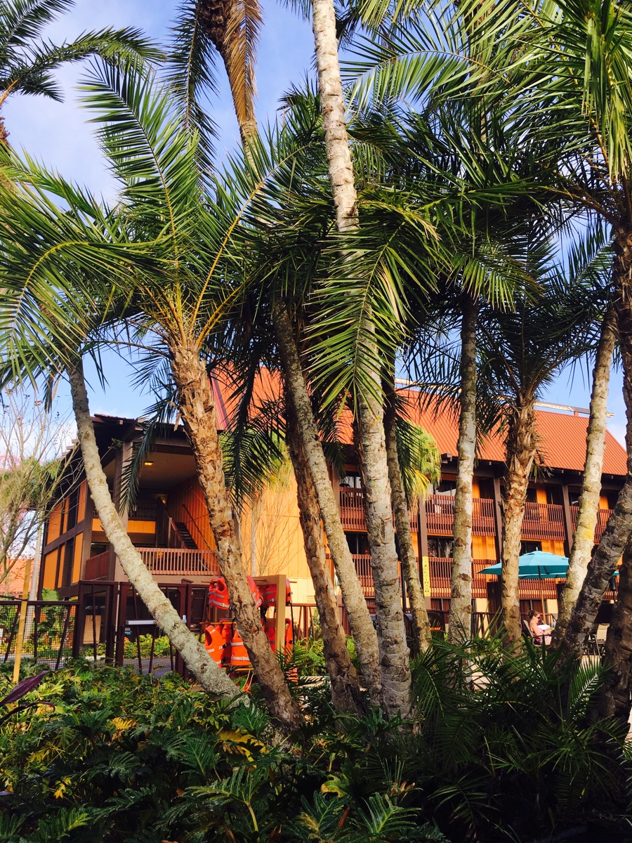 Polynesian-village-quiet-pool-01