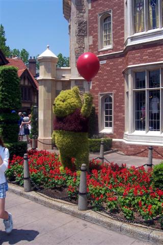Pooh