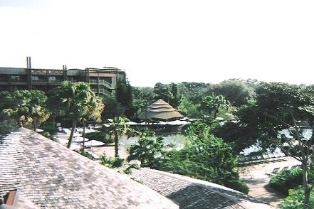 pool from view point at akl