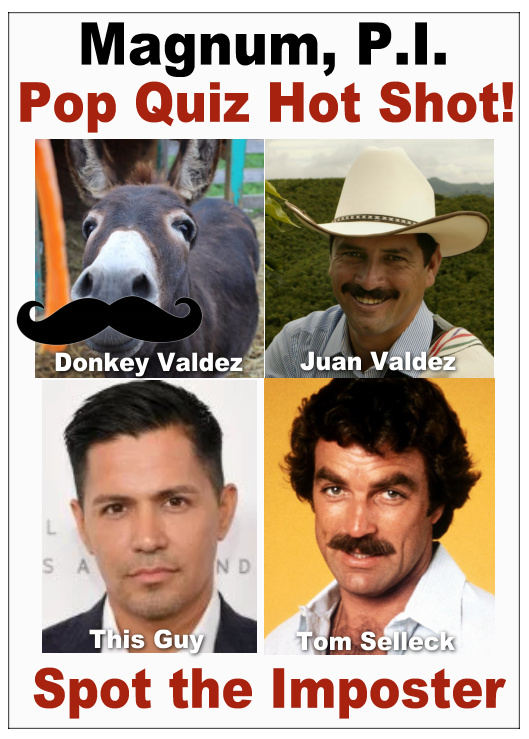 Pop-Quiz