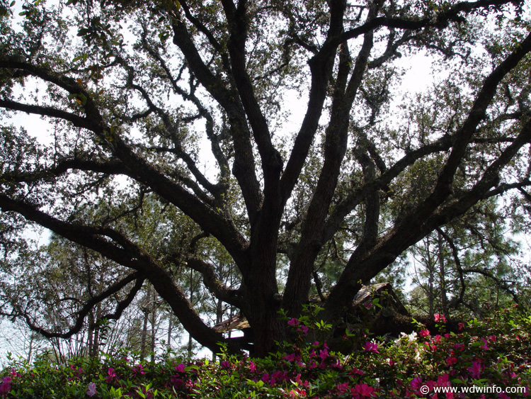 port-orleans-riverside-86