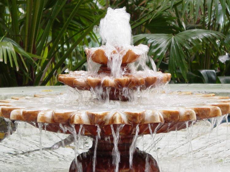 Pretty fountain in Animal Kingdom