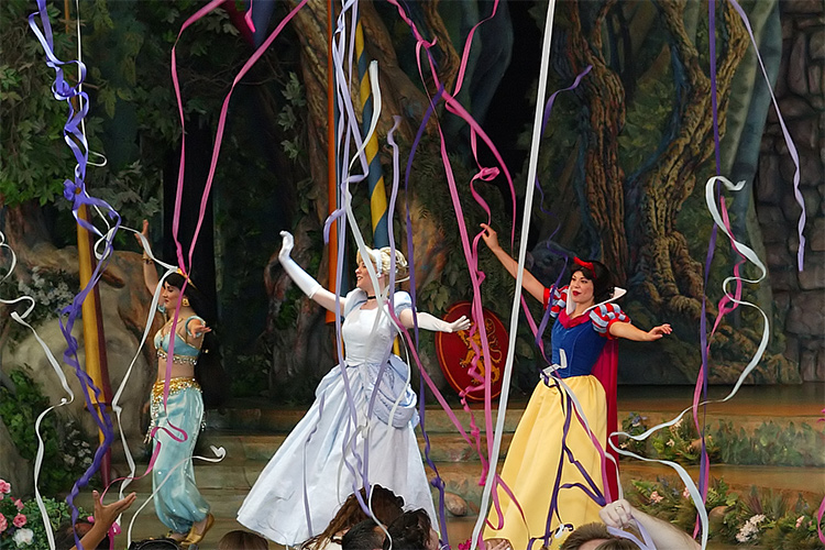 Princess Fantasy Faire - streamers