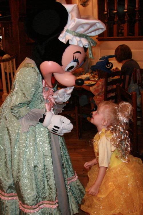 Princess Meets Mouse