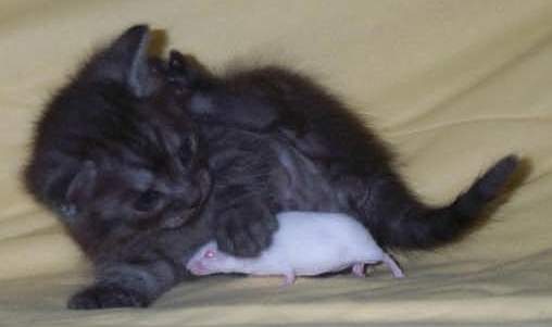Princess with Baby