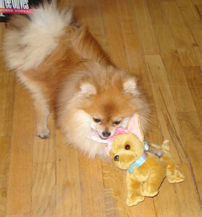 Princess_Playing