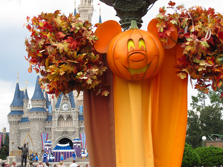 Pumpkin decor