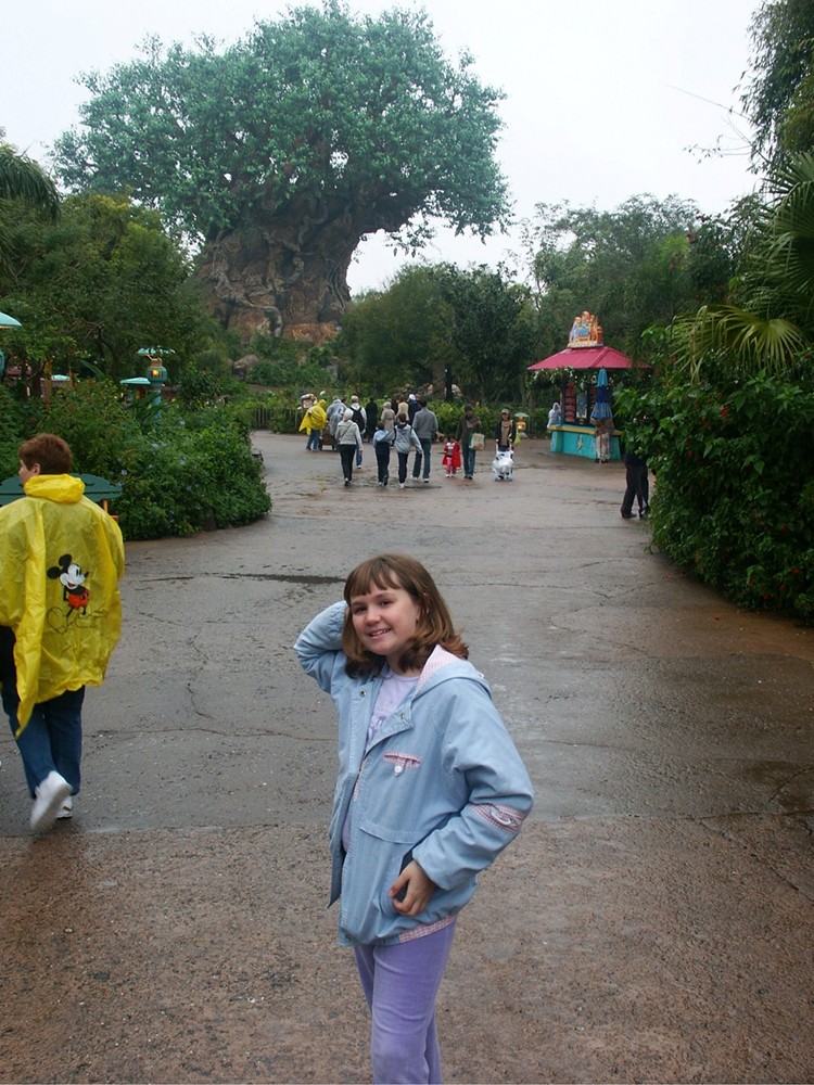 rachel tree