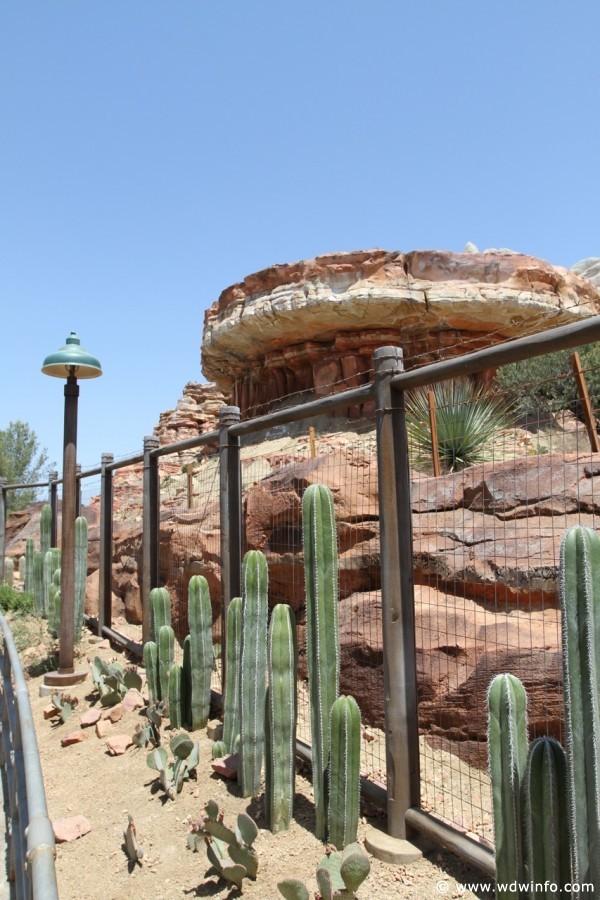 Radiator-Springs-Racers-055