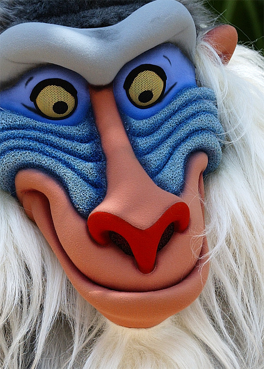 Rafiki closeup