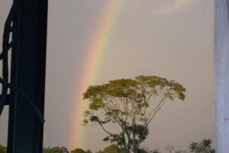 rainbow