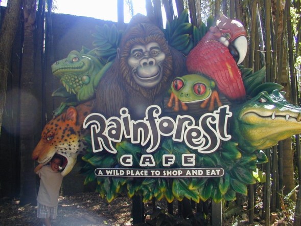 Rainforest Cafe@ Animal Kingdom