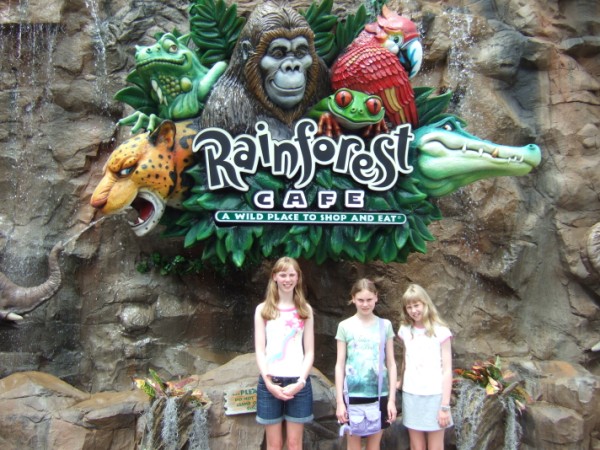 Rainforest Cafe, Downtown Disney