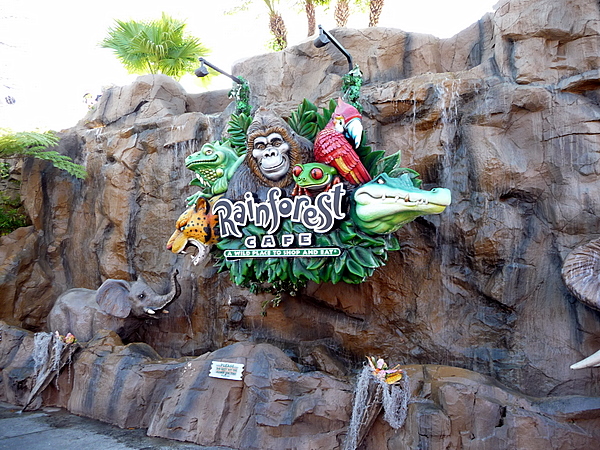 Rainforest Cafe