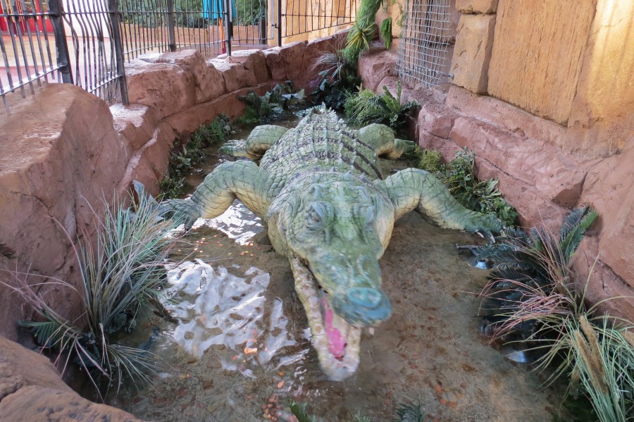 Rainforest crocodile