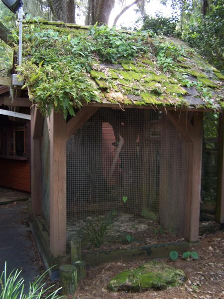 RC ticket booth
