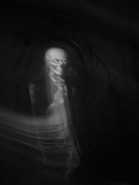 Real Ghost in Haunted Mansion