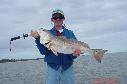 Red Drum