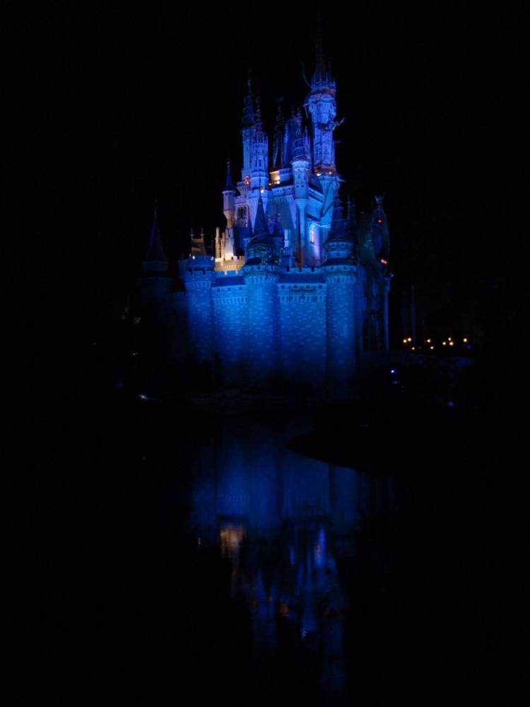 Reflection of Cinderella's Castle