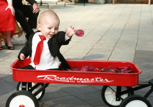 Ring_Bearer