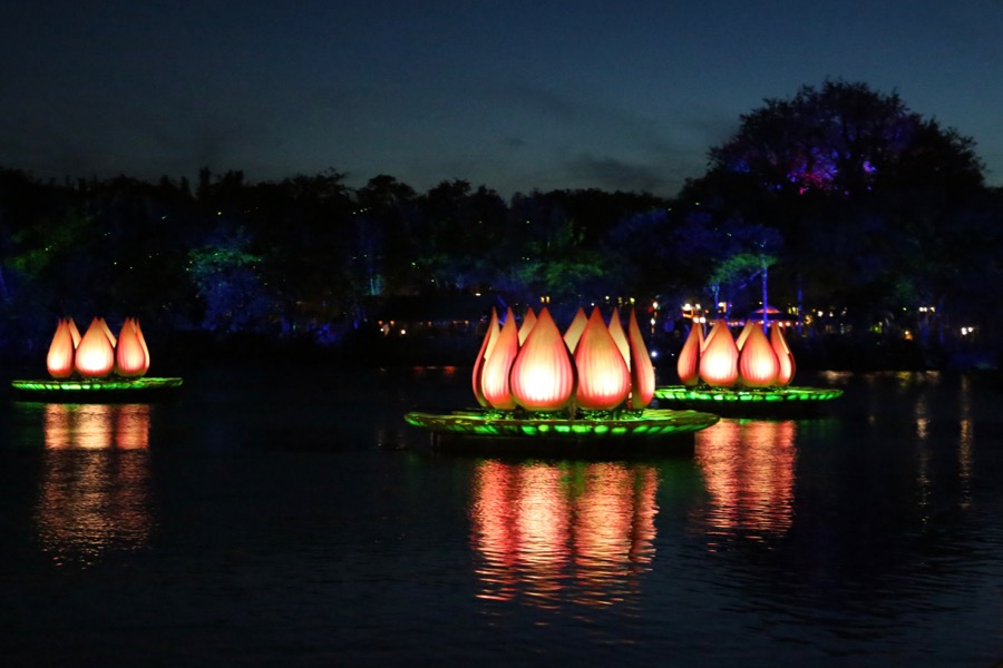 Rivers-of-Light-046