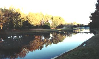 Riverside Reflections