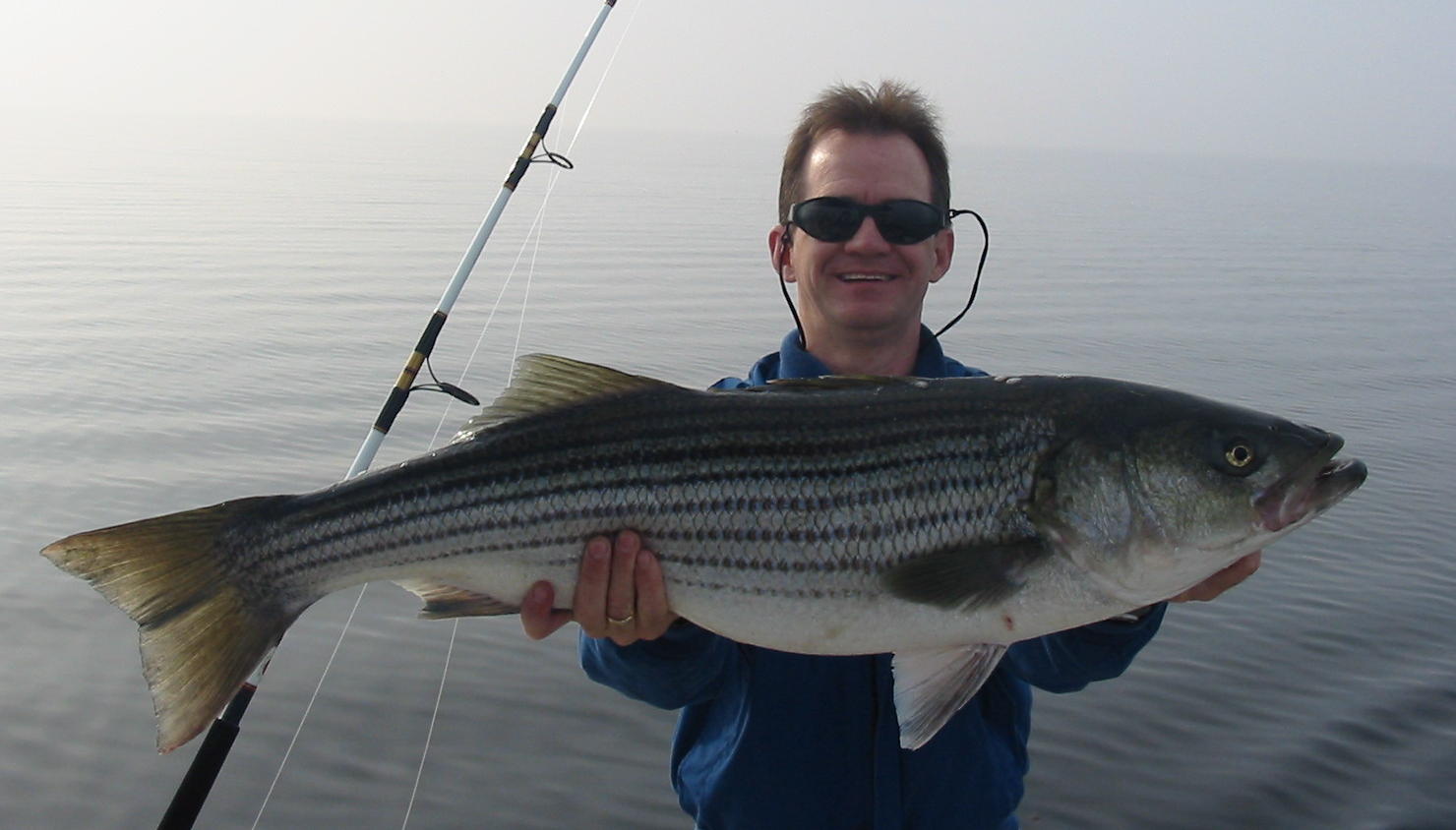 Rockfish