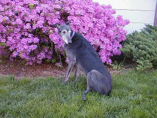 Rocky.......12 May 2005
